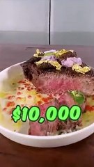 Feeding A Dog $1 vs $10,000 steak