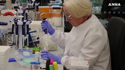 Carne coltivata a una svolta,ora piu' facile ed economica