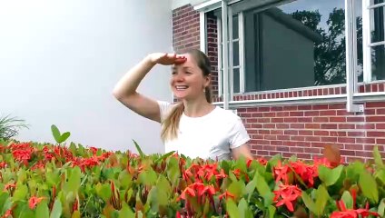 Hello Hello Song for Kids by Diana 🎶 – Fun Greetings & Name Introduction