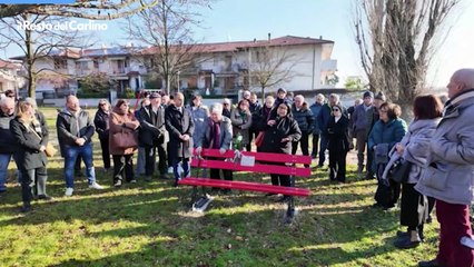 Giallo di Cristina Golinucci: il video della mamma e dell'avvocata