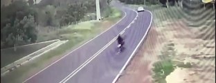 Homem é preso após arrastar cachorro na traseira da moto