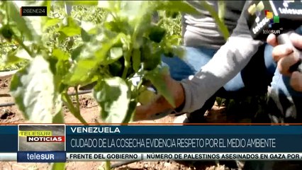 Venezuela apuesta por un modelo económico productivo