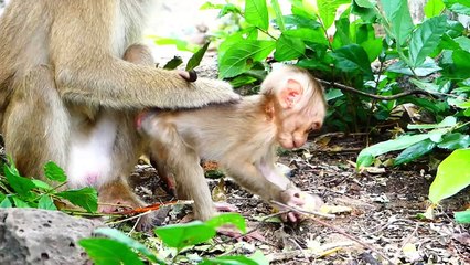 Poor Saro Feels Runs Rapidly To Hug Mother Sarika (720p_25fps_H264-192kbit_AAC)