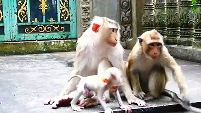 Poor young mom pull baby Money from head to bite, baby crying so loudly on the ground (720p_25fps_H264-192kbit_AAC)