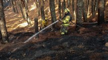 ¿Crisis al interior del Cuerpo de Bomberos no permitió estar listos para los incendios forestales?