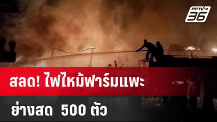 สลด! ไฟไหม้ฟาร์มแพะ ย่างสด  500 ตัว | โชว์ข่าวเช้านี้  | 28 ม.ค. 67