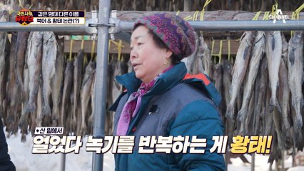 같은 명태 다른 이름ㅋㅋ 북어&황태 논란 종결★