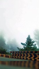 Murree Foggy Weather