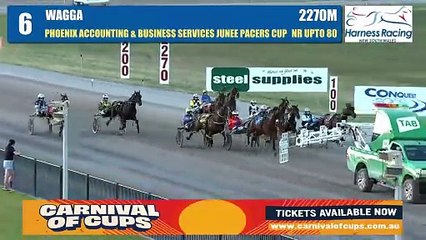 Baxter Red Clinches Victory at Junee Pacers Cup 🏆