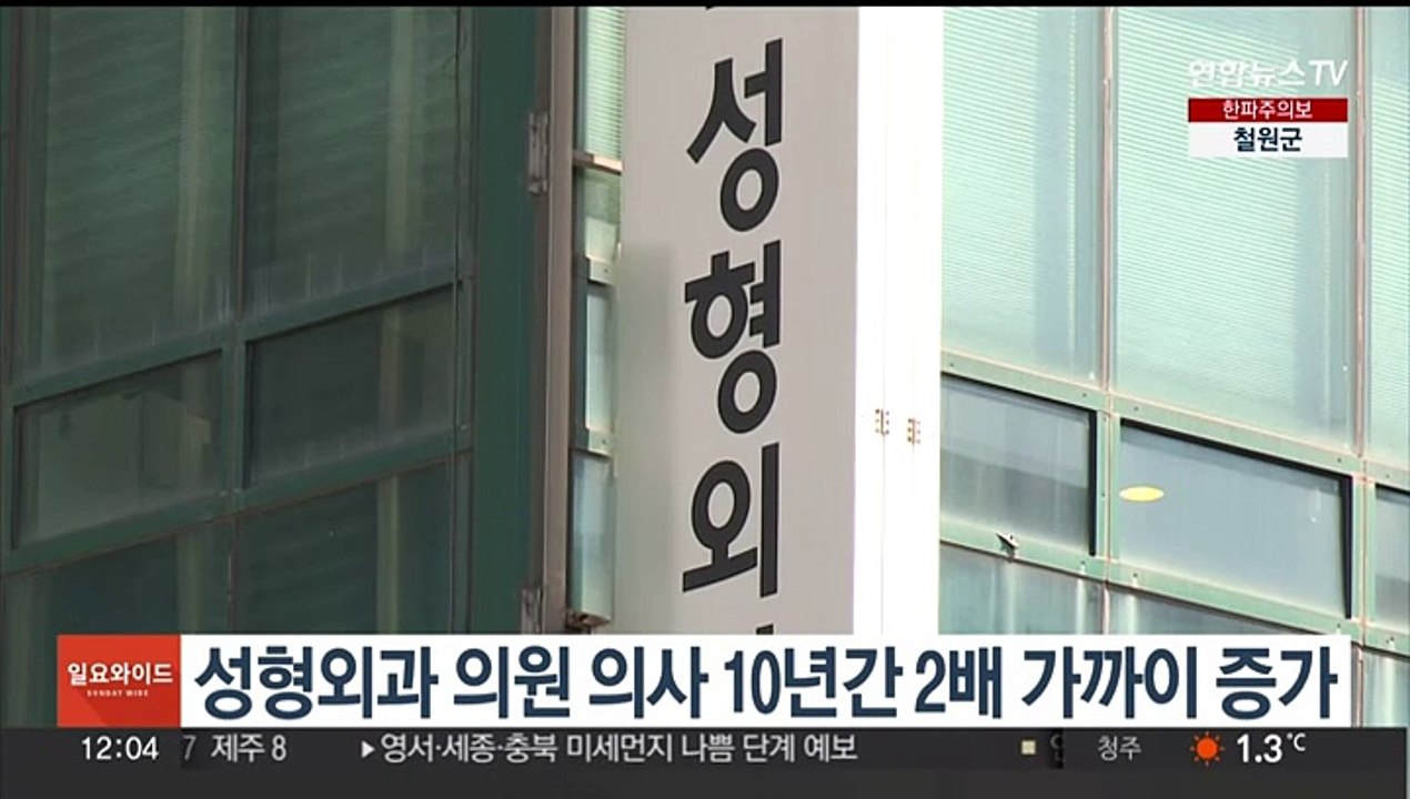 성형외과 의원 의사 10년간 2배 가까이 증가