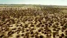 Crowd_replication
