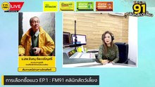การเลือกซื้อแมว EP.1 : FM91 คลินิกสัตว์เลี้ยง : 27 มกราคม 2567