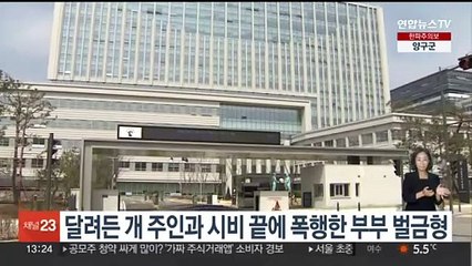 달려든 개 주인과 시비 끝에 폭행한 부부 벌금형