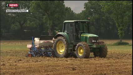 Les agriculteurs sont-ils écrasés par les normes ?