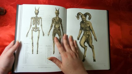 Page Turning ASMR | The Resurrectionist | No Talking