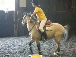 pOny Games. Fête du club 2007.