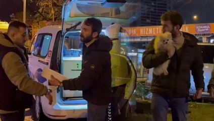 Kartal'da polisten kaçıp kaza yaptı, otomobilde köpeğini aradı