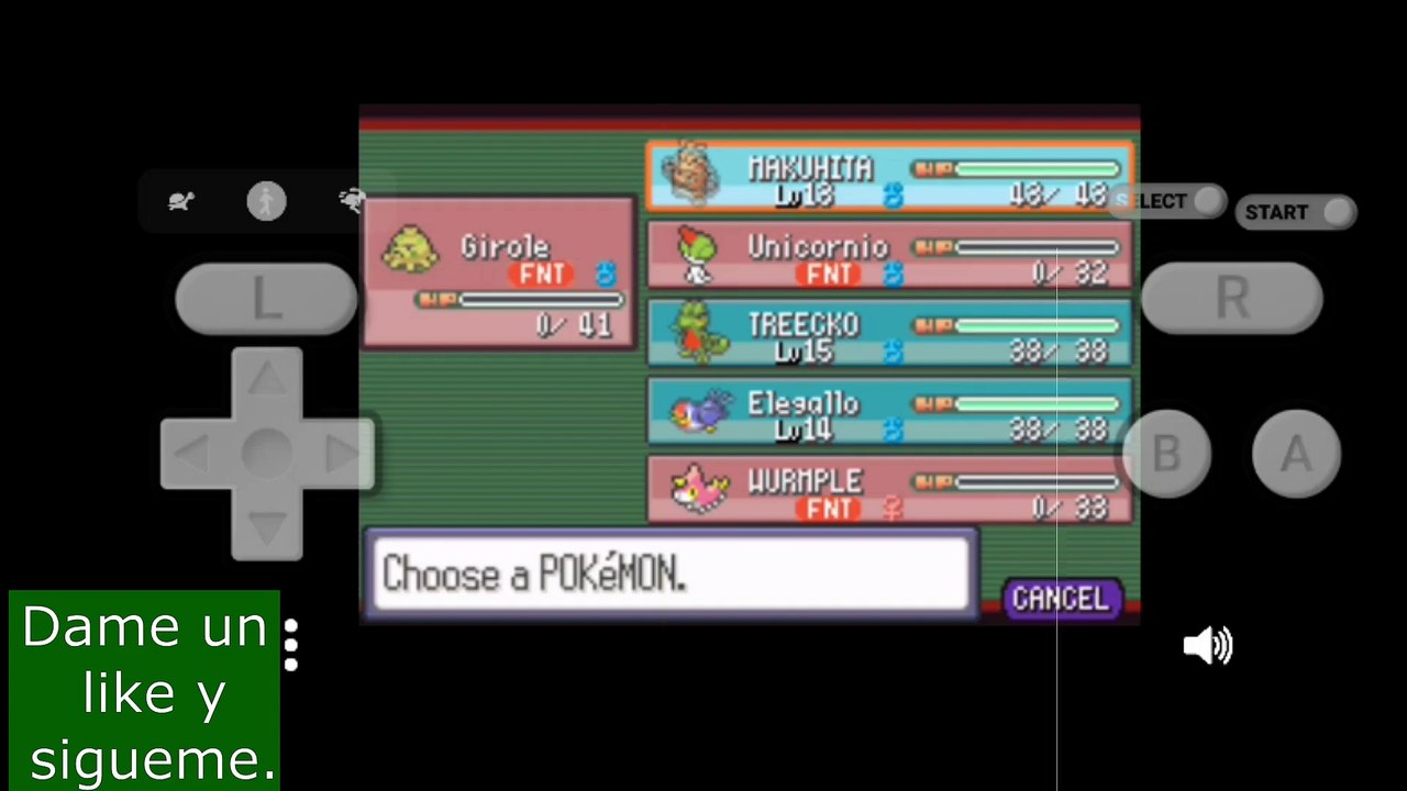 Pokemon Ruby (GBA) Gym #2