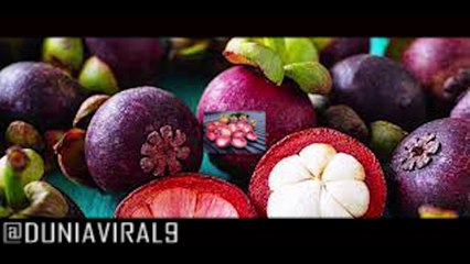 Manfaat dan Kasiat KULIT MANGGIS
