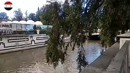 @"عودة نهر بردى إلى الحياة في قلب دمشق.بردىسورة في قرآن الكون"|#سوريا