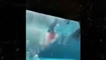 Köpek balığı kameralar önünde 10 yaşındaki çocuğa saldırdı