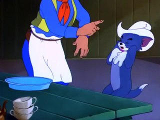 Tom And Jerry - Posse Cat