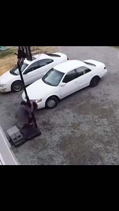Caught On Camera Funny Videos