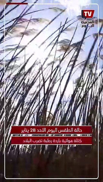 الأرصاد تكشف حالة الطقس خلال الساعات المقبلة وخريطة الأمطار