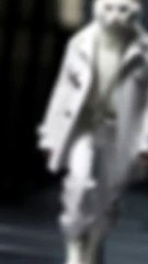 Amazing video cat Dress new fashion
