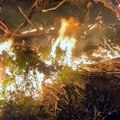 Incendio en el Parque Nacional Los Alerces