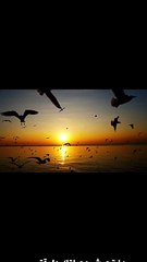 #shorts  استني يا شمس 2- اليسا-فيديو كليب