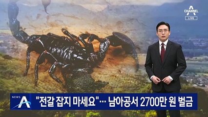 “전갈 잡지 마세요”…남아공서 2700만 원 벌금