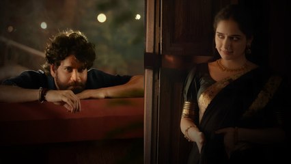 షాకిస్తున్న Naa Saami Ranga కలెక్షన్స్ ... లాభాలు ఎంతో తెలిస్తే..| Filmibear Telugu