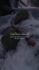 Al Quran-ul-Kareem - Al Quran Kareem