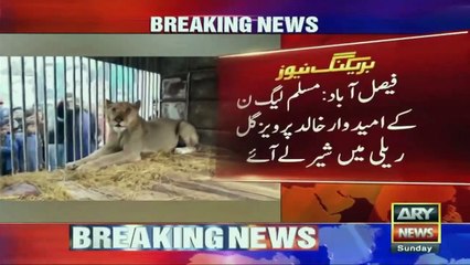 PMLN ke umeedwar khalid Pervaiz Gull rallay me sher le aye