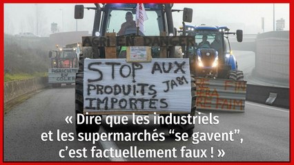 « Dire que les industriels et les supermarchés “se gavent”, c’est factuellement faux ! »