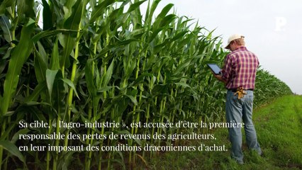 « Dire que les industriels et les supermarchés “se gavent”, c’est factuellement faux ! »