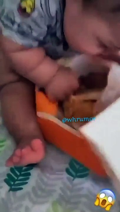أم تنشر مقطع لطفلها طفلي مدمن للبروست وكلما نُحضره له ينقض عليه بهذه الطريقة ❤️