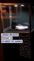 Legendary Michael Jordan's game-worn Air Jordans hitting the auction block at Sotheby’s New York!