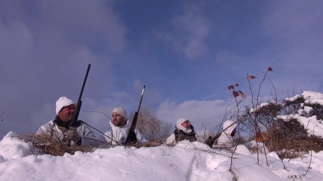 Chasse aux canards - LA dernière journée, ça se passe TRÈS vite