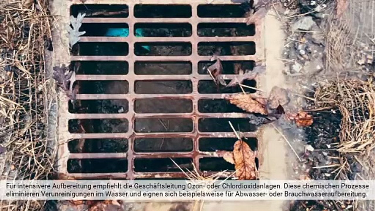 Die globale präsenz der prominent gmbh