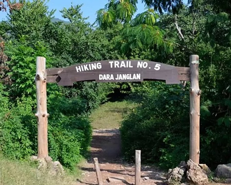 Islamabad Hiking Track Trail-5