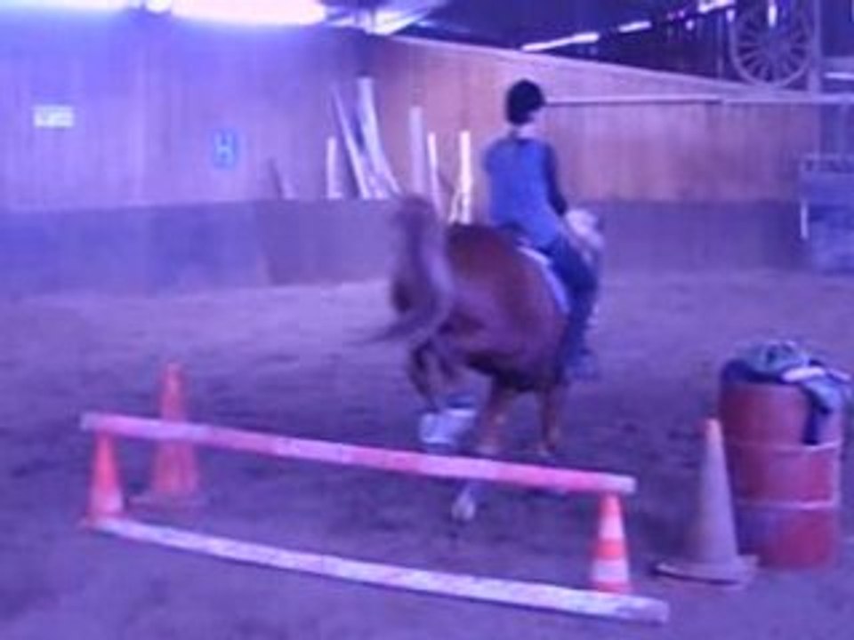 Fiona et Jéroboham sur un aprcour de saut