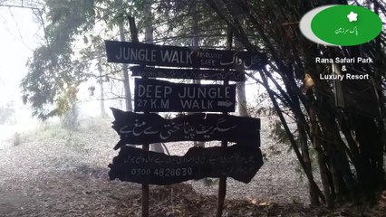 Rana Resort Jungle