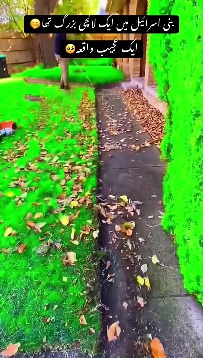 Ik neek buzarag kese lalchi ho ga