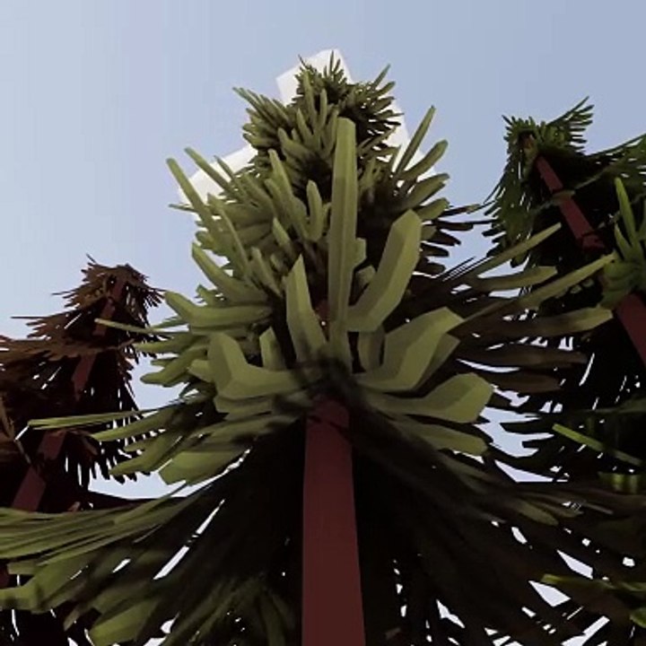 Pinecone Game [57] Ninja