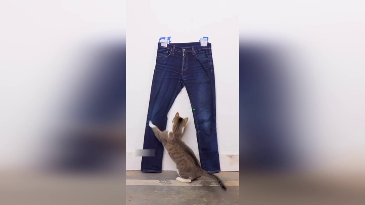 BEST IN THE WEB 2024 (#1) | NEW MEMES COMPILATION