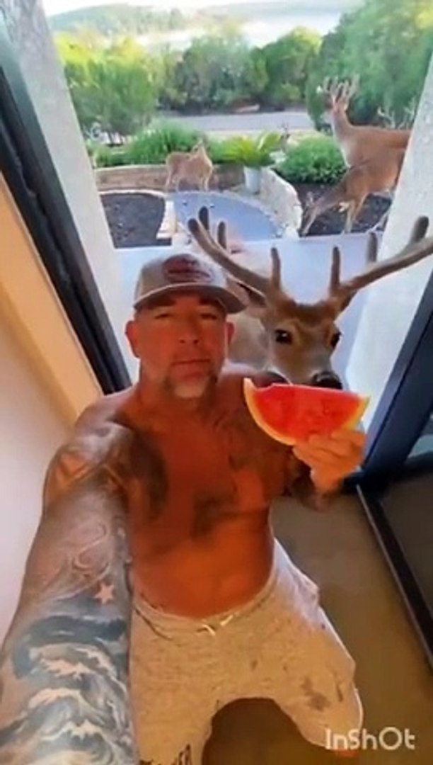 ⁣Funny animals hub,funny animals club youtube, , funny animals dancing , funny animals fighting