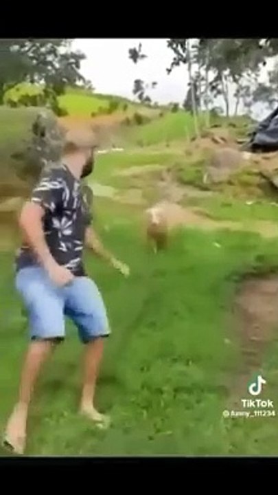 Cute and funny animals video compilation  part- 1