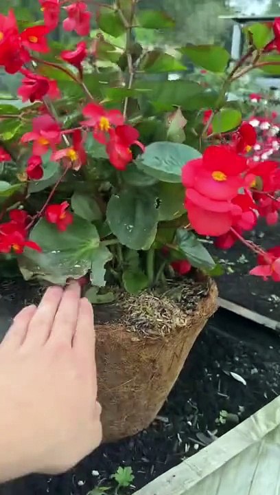 TikTok No se dio cuenta
